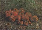 Vincent Van Gogh Still Life with Apples Spain oil painting artist